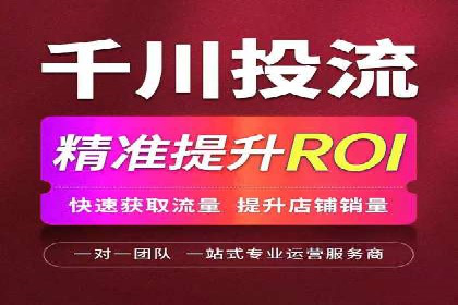 百度SEO推广公司案例剖析：助力企业提升排名